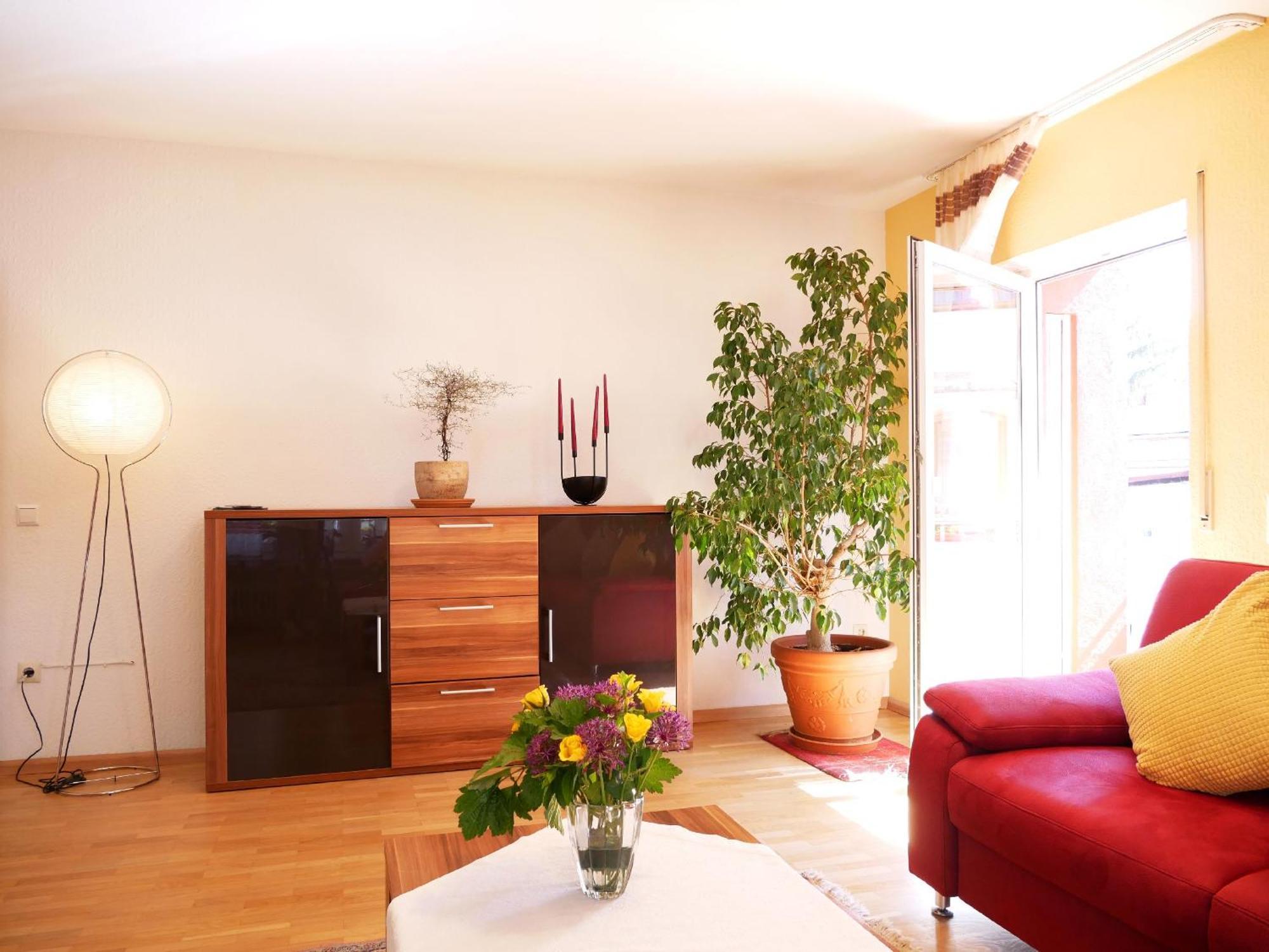 Ferienwohnung Walter Ringsheim Exteriér fotografie